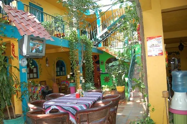 卡波圣卢卡斯 卡波旅馆酒店 墨西哥